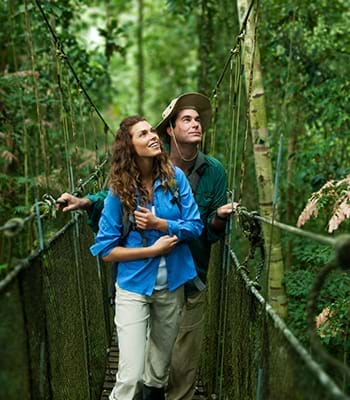 Daytime walks on the Amazon River